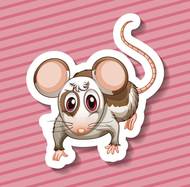 生肖今日运程全解析：2月9日运势指南