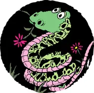 2025年生肖运势全面解析：八大关键转折点