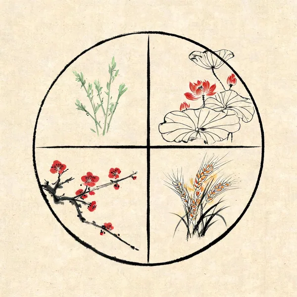 四季节气与十二地支月对应图