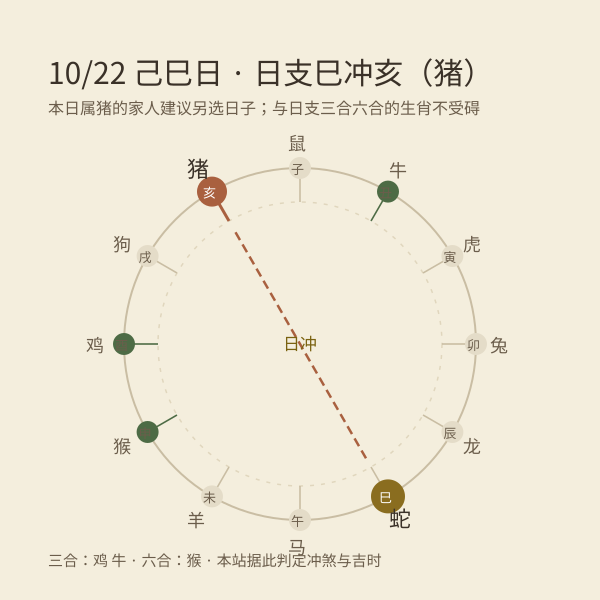 今日日支巳，冲亥（猪）——家属避冲示意