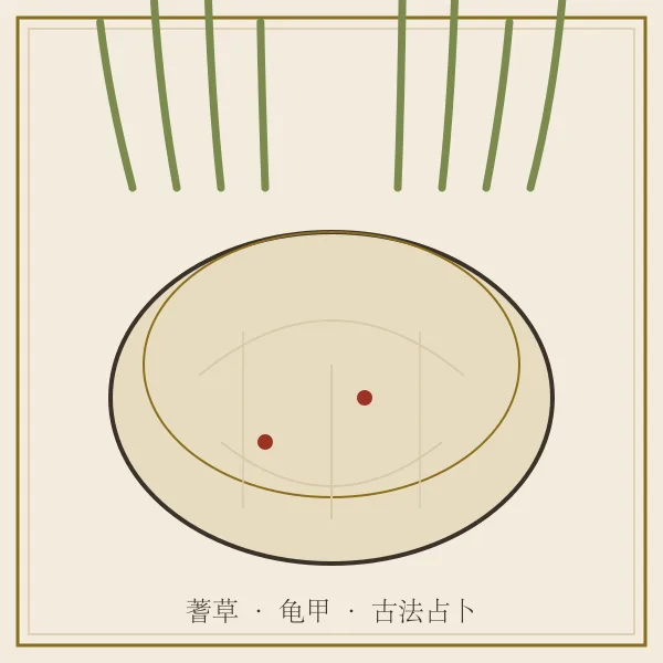 蓍草与龟甲占卜用具