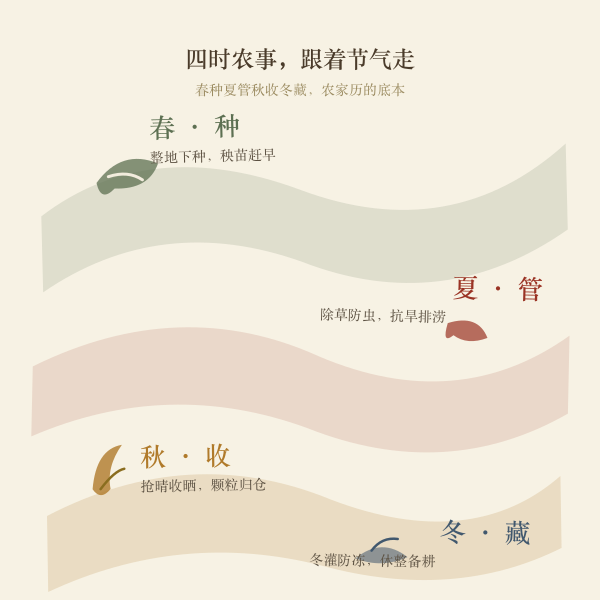 四时农事示意:春种、夏管、秋收、冬藏,各月农活跟着节气走