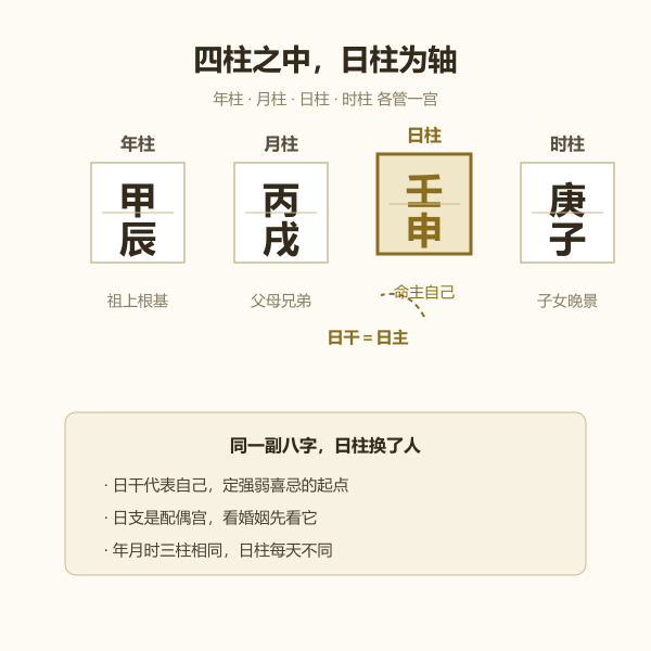 年柱月柱日柱时柱四柱结构示意图,日柱位置加亮