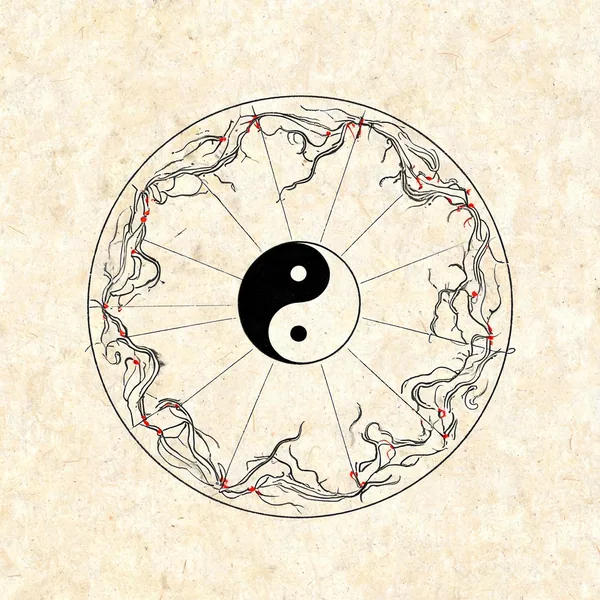 子午流注十二经络环图